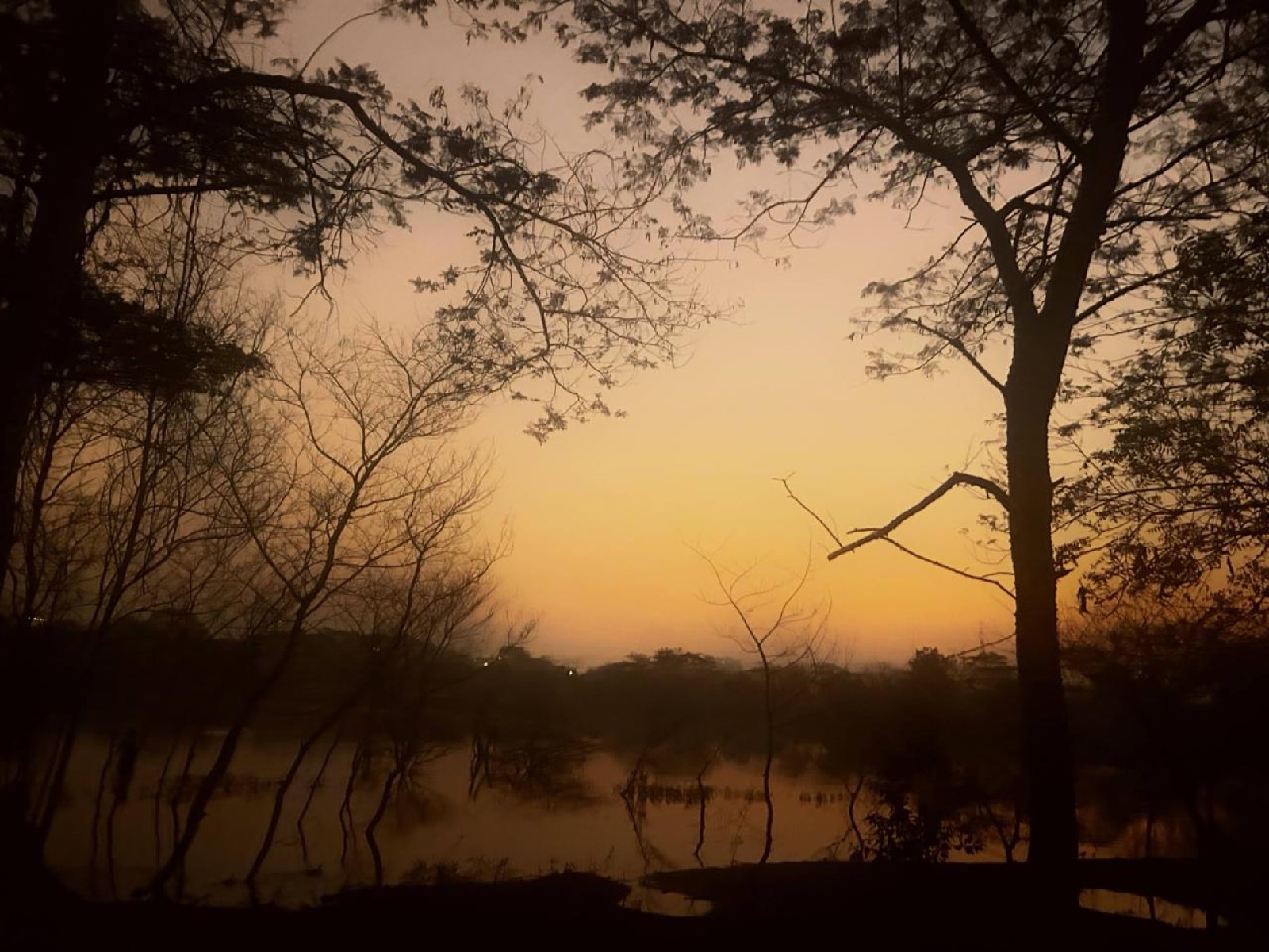 Dawn over the waters at Amarkantak, source of the Narmada